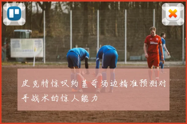 皮克特惊叹约基奇场边精准预测对手战术的惊人能力
