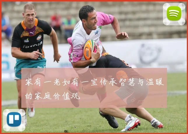 家有一老如有一宝传承智慧与温暖的家庭价值观