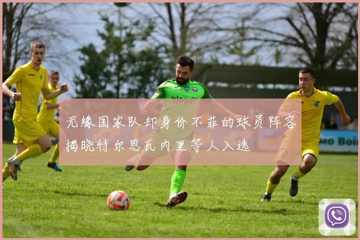 无缘国家队却身价不菲的球员阵容揭晓特尔恩瓦内里等人入选