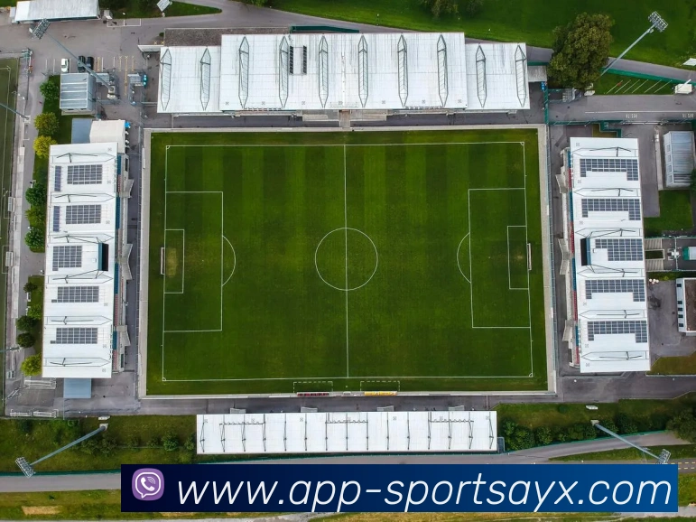 爱游戏平台生态图